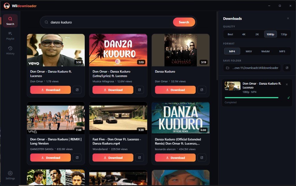 WilDownloader YouTube indirici arama ve önizleme ekranı